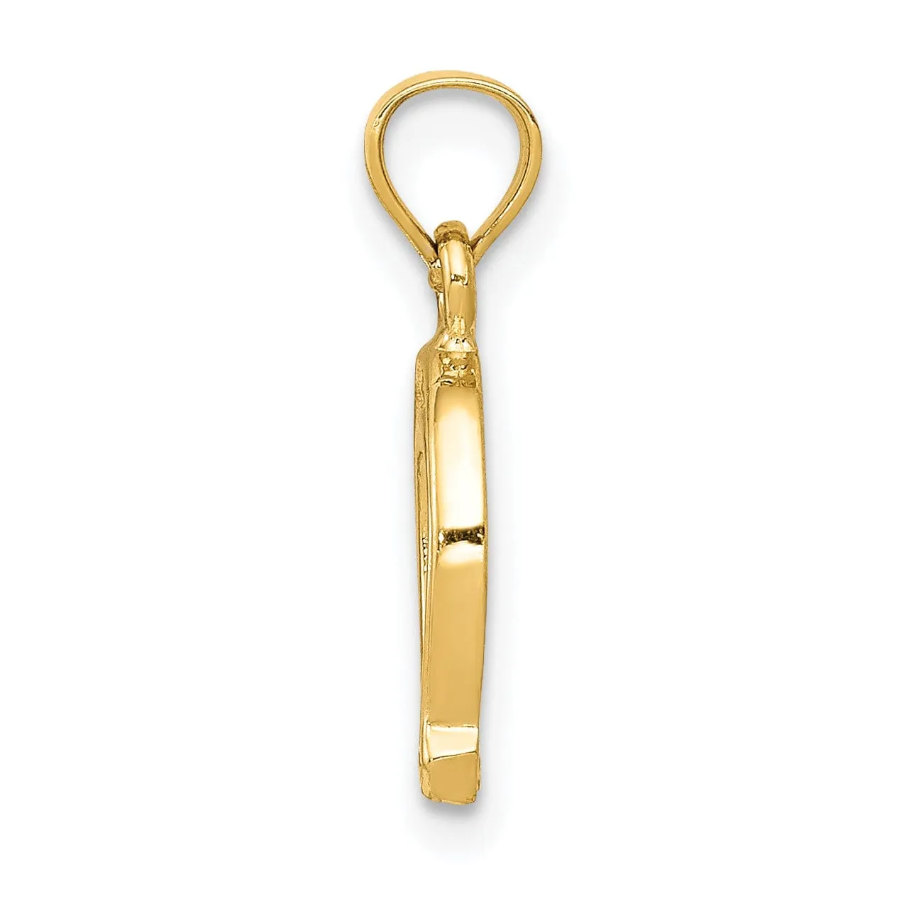 14K Yellow Gold Solid Textured Polished Finish Horseshoe Charm Pendant