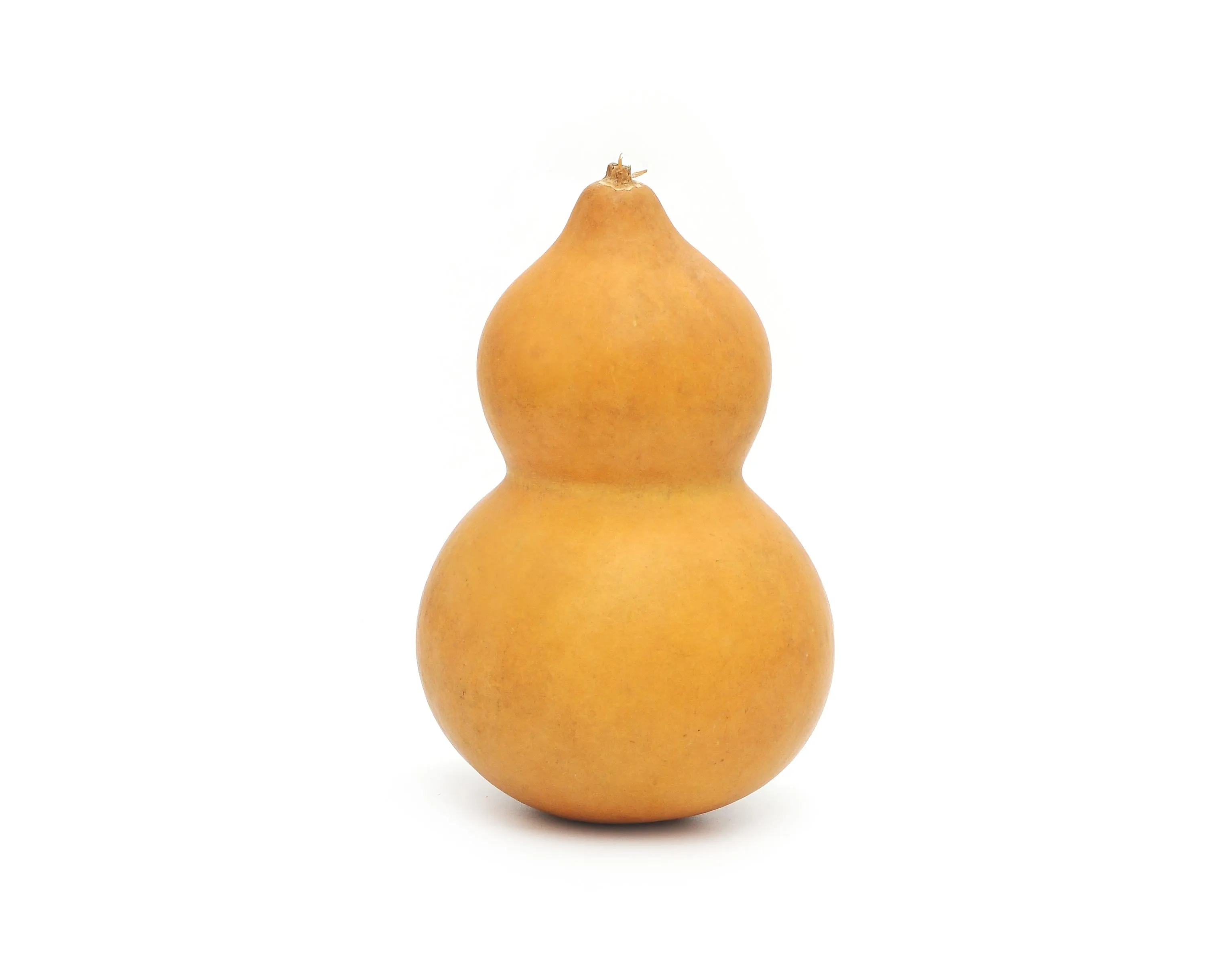 Bottle Gourds Dried Clean - Home Decor