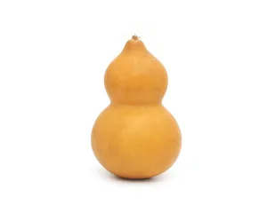 Bottle Gourds Dried Clean - Home Decor