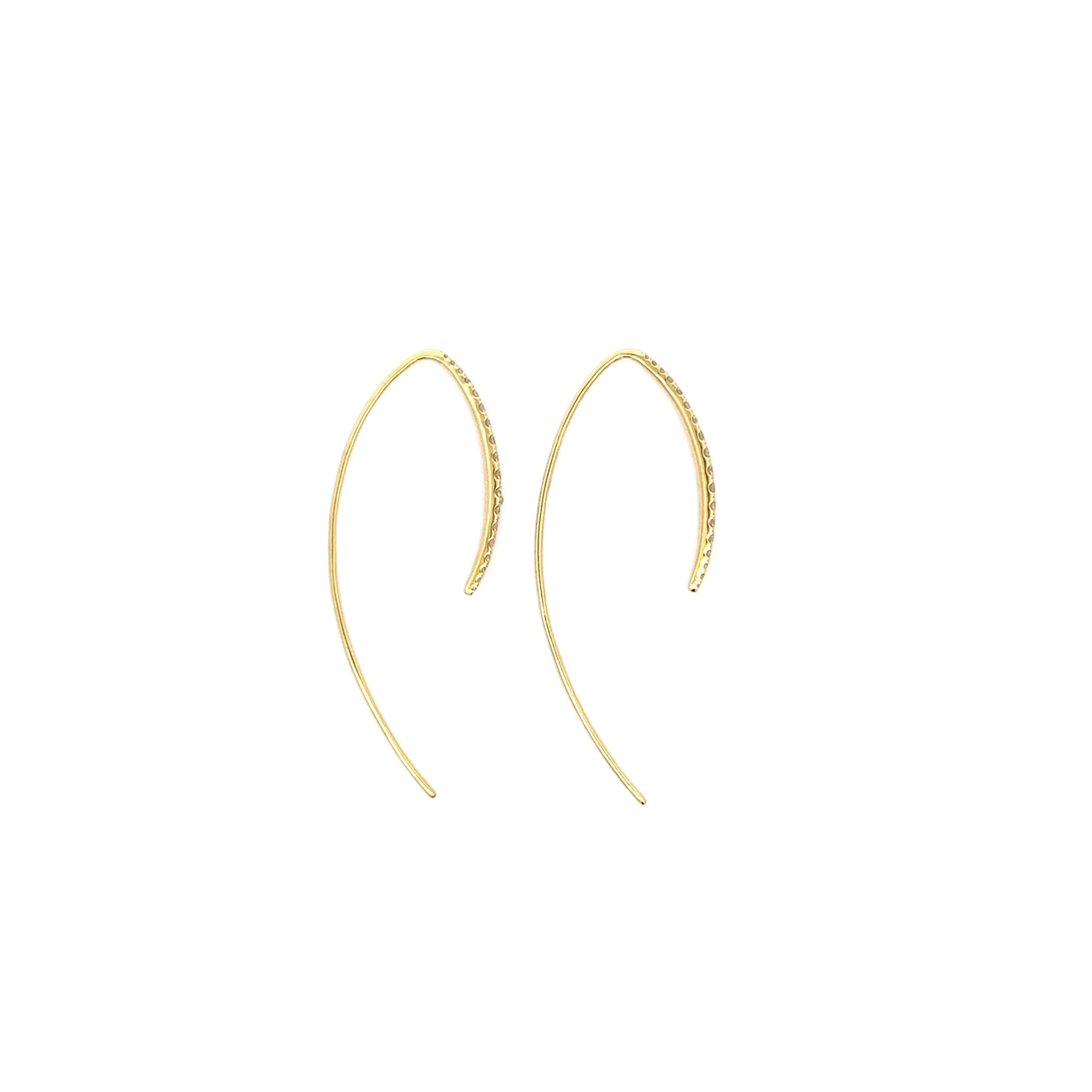 Diamond Ear Hooks
