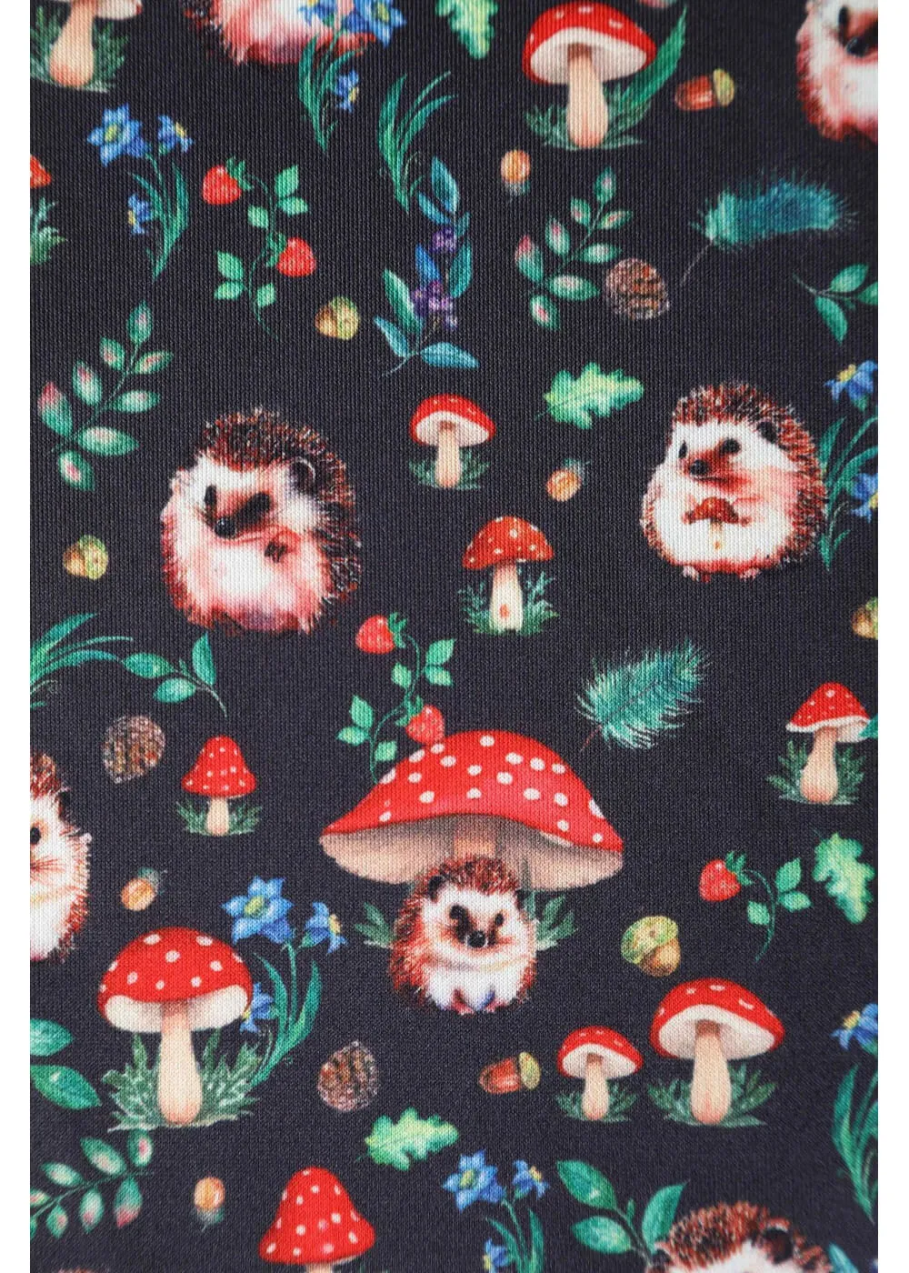 Dolly & Dotty Amanda Hedgehog Mushroom 50's Swing Dress Black