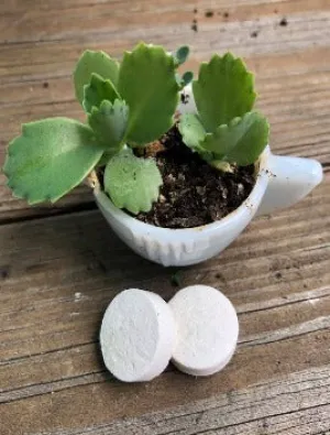 Eco Clean Tab-Multi Cleaner