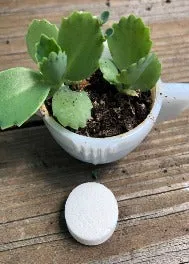 Eco Clean Tab-Multi Cleaner