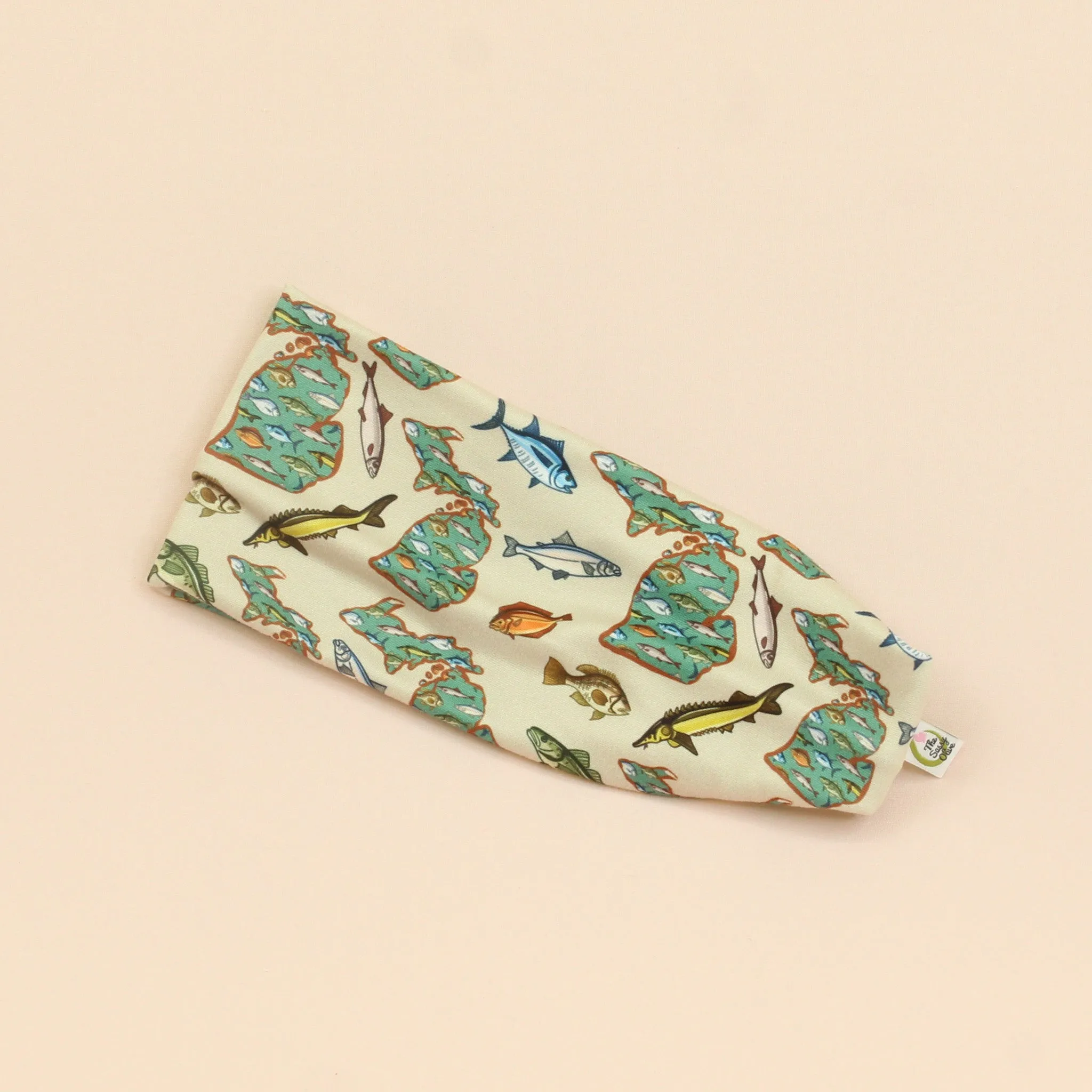 Fishing in Michigan Stretch Headband