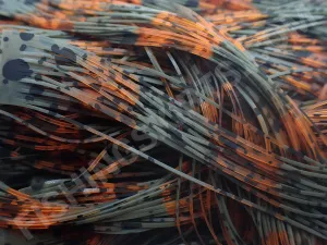 Living Image Army GP Orange