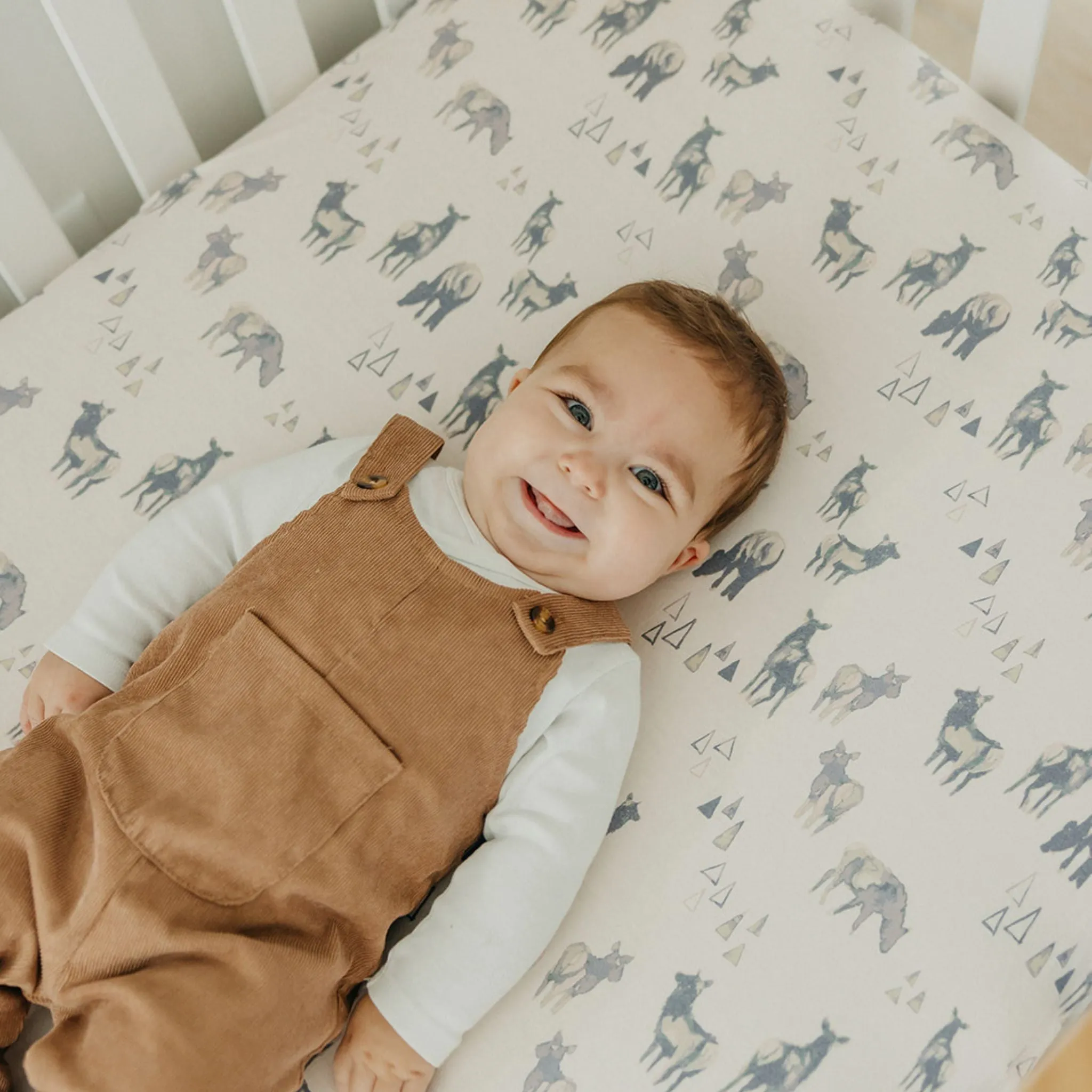 Premium Knit Fitted Crib Sheet - Cody