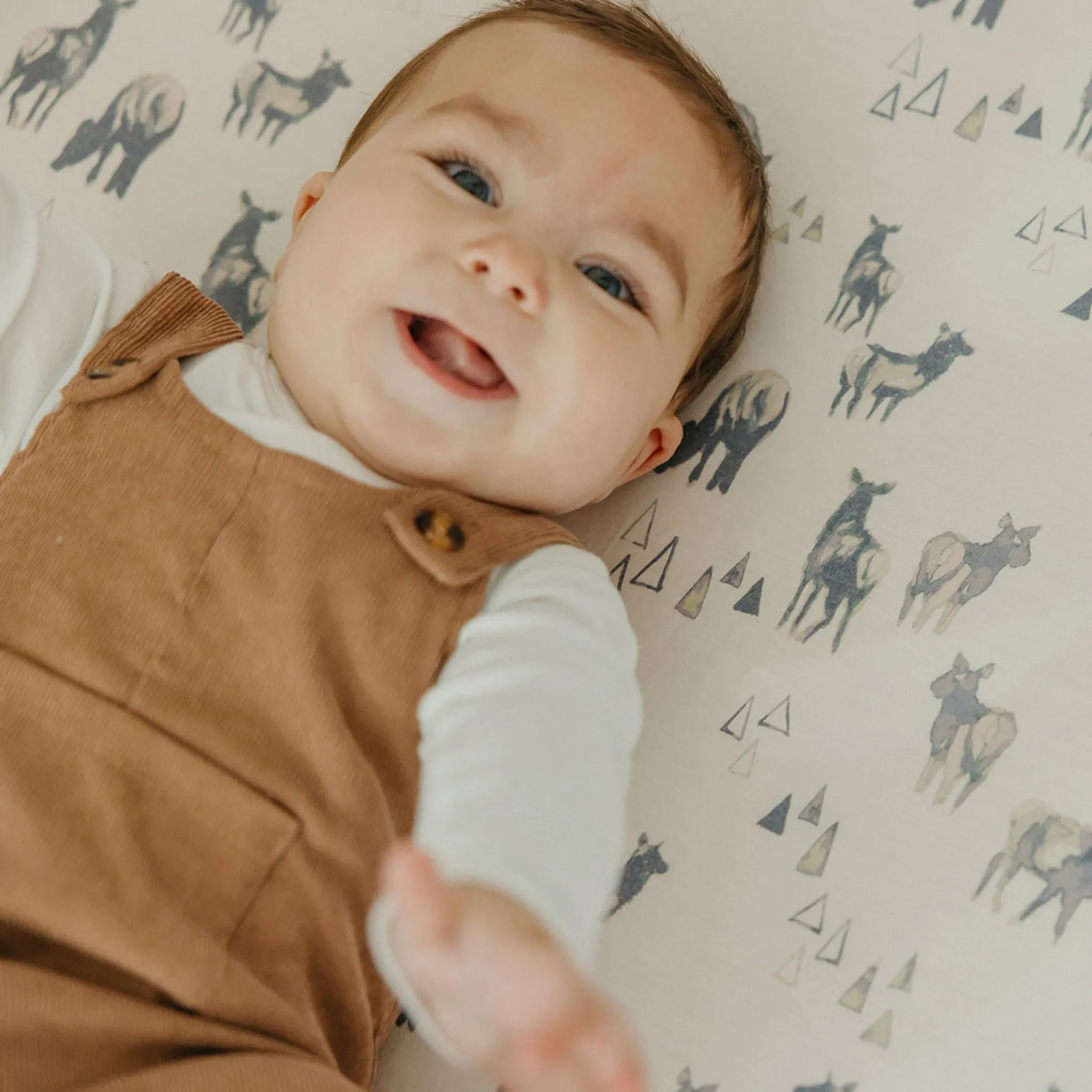 Premium Knit Fitted Crib Sheet - Cody