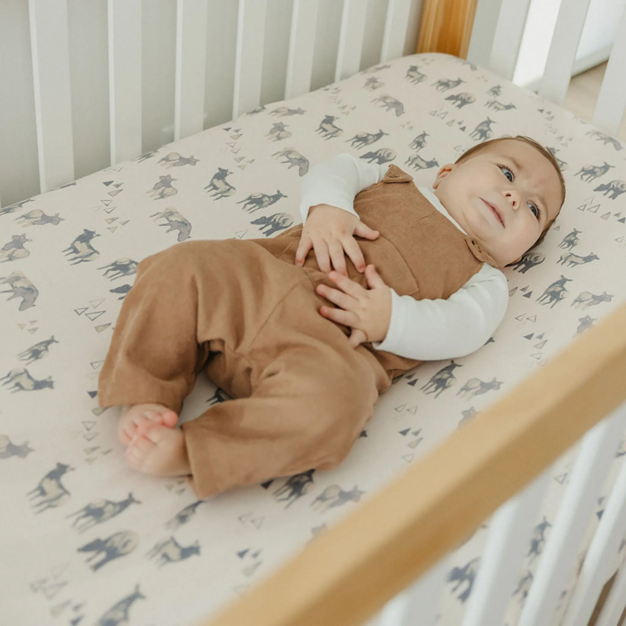 Premium Knit Fitted Crib Sheet - Cody