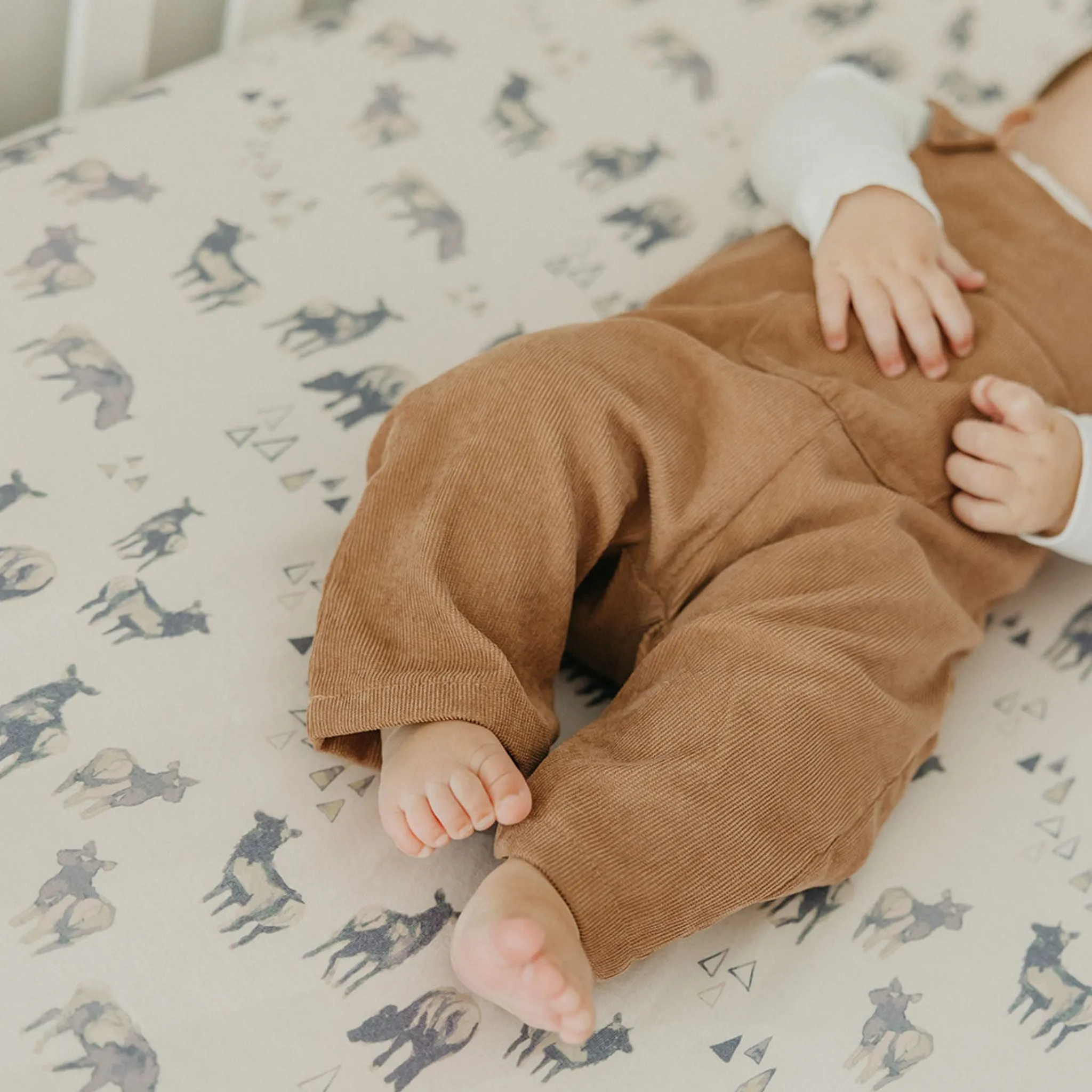 Premium Knit Fitted Crib Sheet - Cody