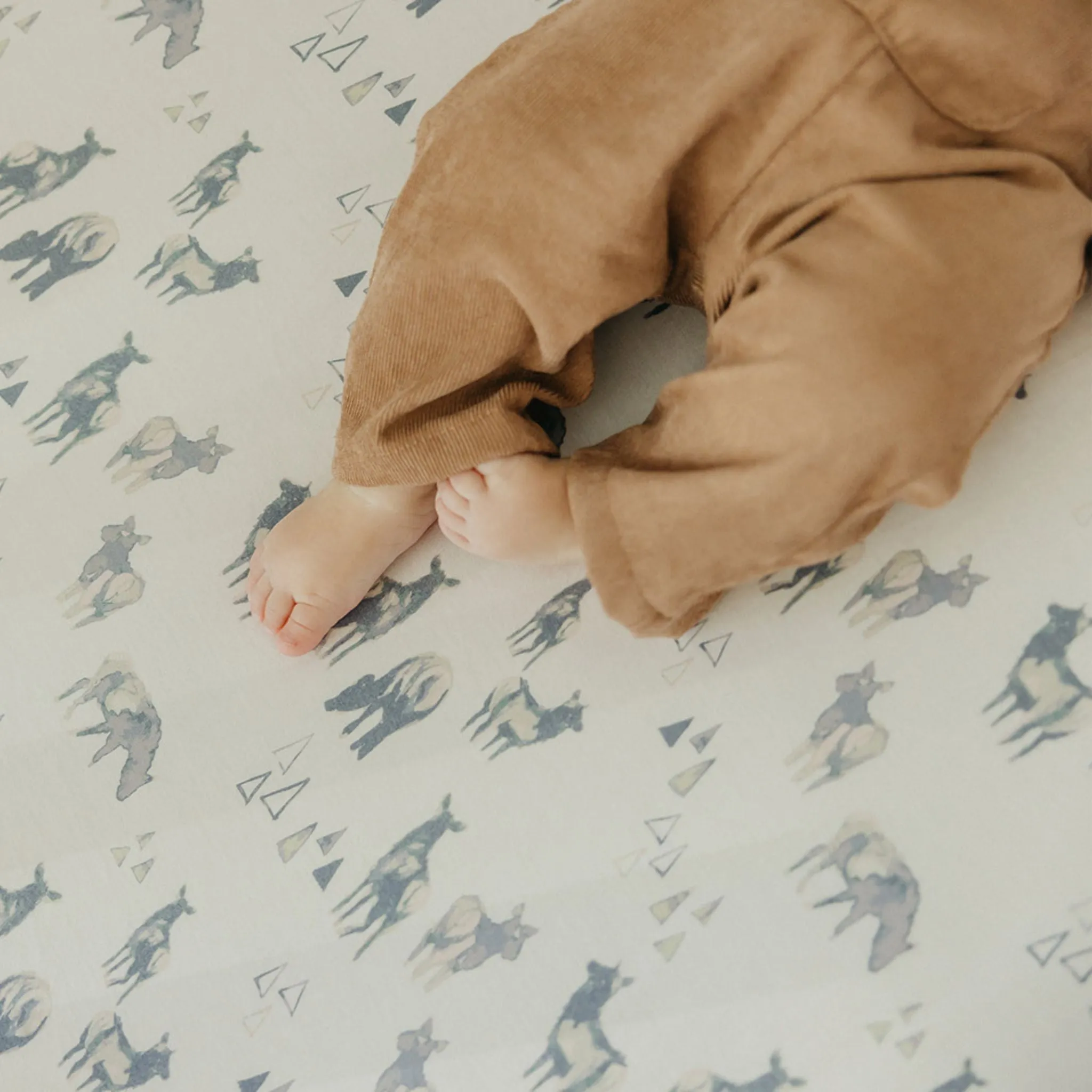 Premium Knit Fitted Crib Sheet - Cody