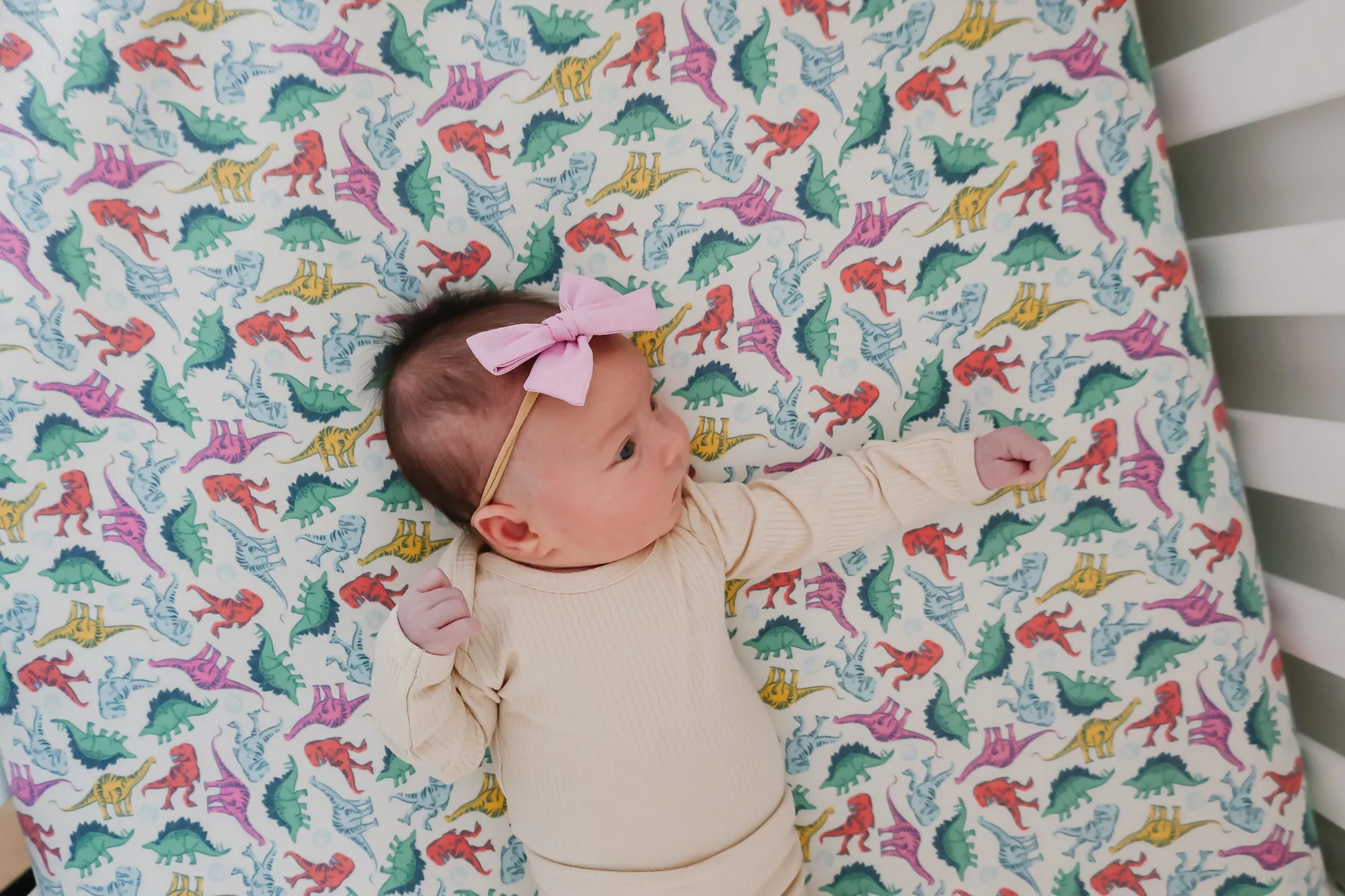 Premium Knit Fitted Crib Sheet - Dinosaurs of Jurassic Park