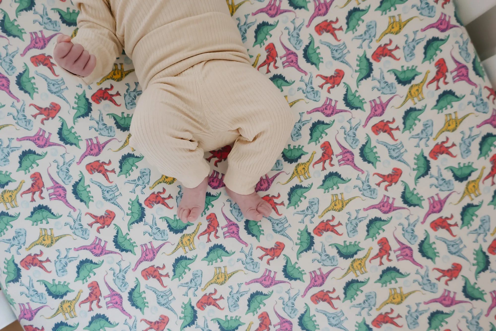 Premium Knit Fitted Crib Sheet - Dinosaurs of Jurassic Park