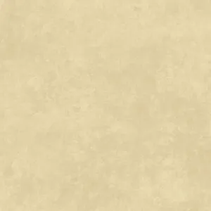 Shadow Play Soft Tan