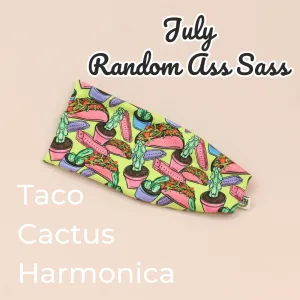 Taco Cactus Harmonica Random Ass Stretch