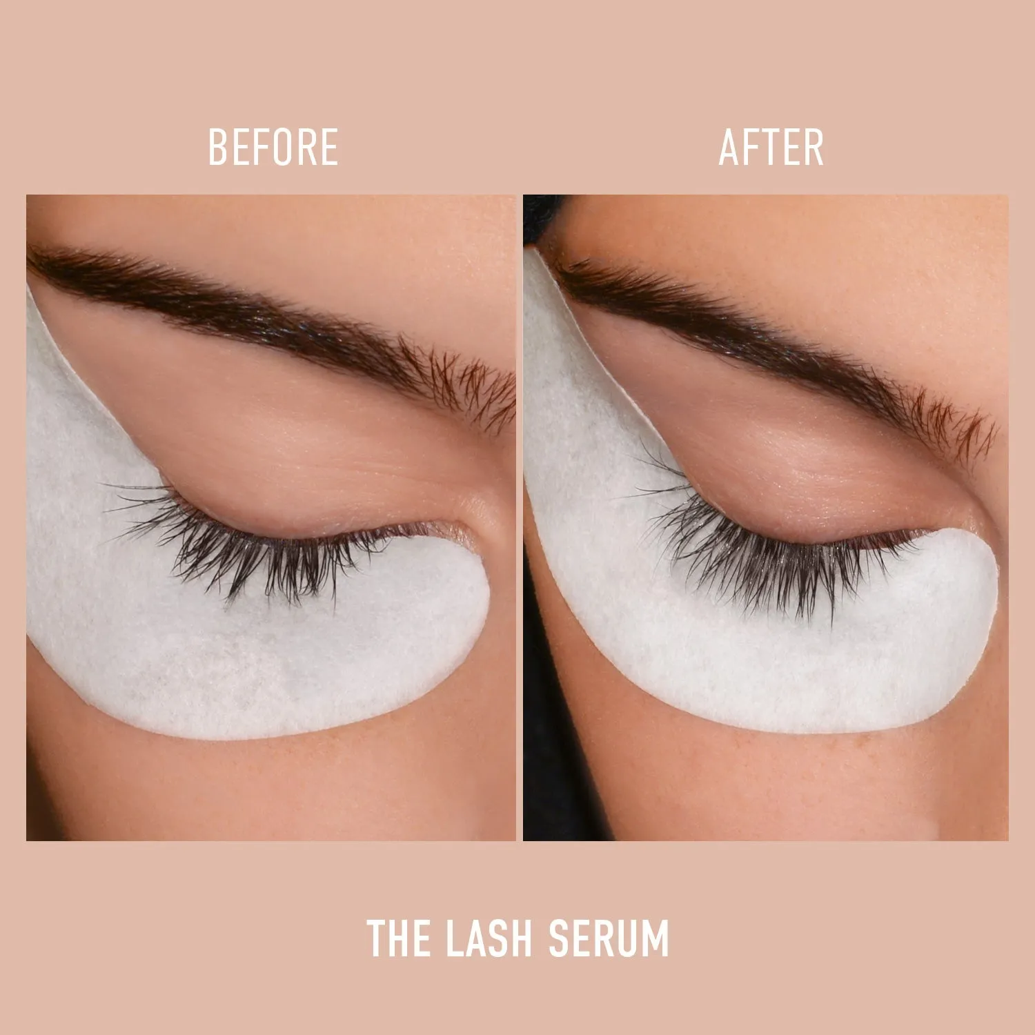 THE LASH SERUM - 01 Nourishment